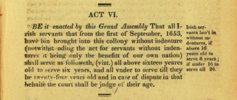 Virginia Statute, Irish Indentured Servants